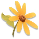 Bloomville Invitation Gift icon