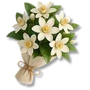 Bouquet icon