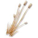 Candleweed icon