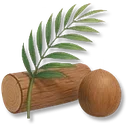 Coconut Tree Timber icon