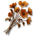 Dried Flowers icon