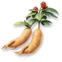 Ginseng icon