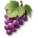 Grapes icon