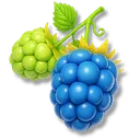 Green Raspberry icon