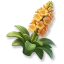 Huge Agave icon