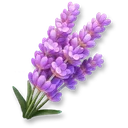 Huge Lavender icon