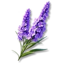 Nepenthe Lily icon