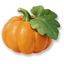 Pumpkin icon
