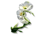 Pure Essence of Grass icon