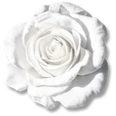 Pure Essence of Light icon