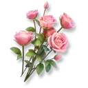 Rose icon