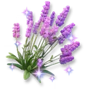Sparkling Lavender icon
