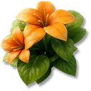 Sunset Storm icon