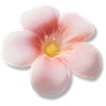 Blooming Hairclip