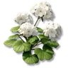 Chromaflare Peony