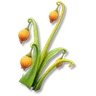 Glowbud
