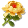 Goldcup Daisy
