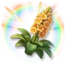 Huge Colorful Agave
