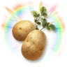 Huge Colorful Potato