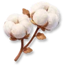 Huge Cotton