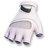Institute Standard