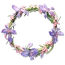 Iris Wreath I