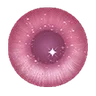 Pupils 17