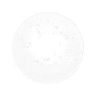 Pupils 18