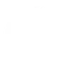 Pupils 2