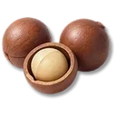 Volcano Bean icon