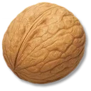 Walnut icon