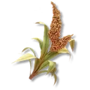 Windgrass icon